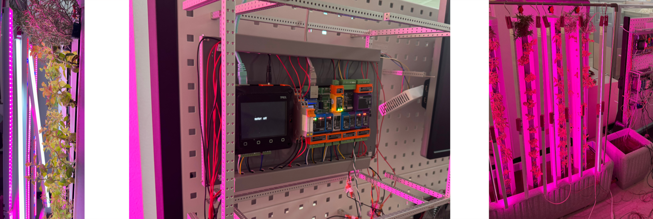 Illustration of a TPS connected to a water container with a pump and a grow light.