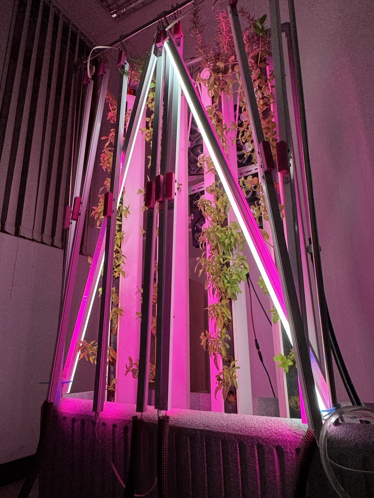 Vertical Hydroponic Farm's image
