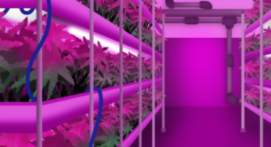 Indoor Farming's image